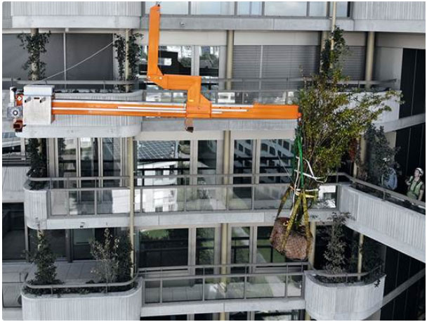 LIBRO 2500 (2500 kg) 3 LIBRO 2500 (2500 kg) - immagine 3