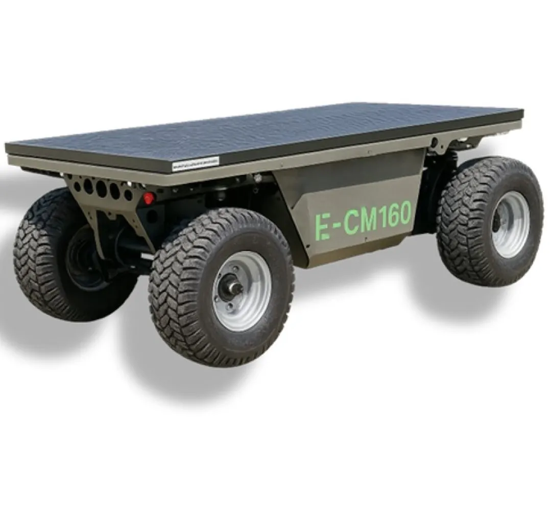 ECM160 (1600 kg - Batteria) 1 ECM160 (1600 kg - Batteria)