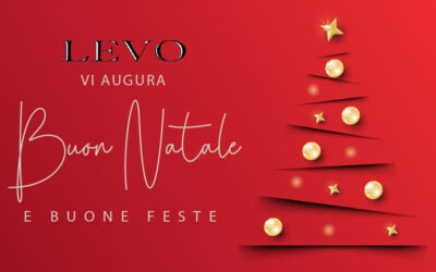 Archivio Newsletter 1 Buone Feste da Levo con MINIGRU UNIC UM 445